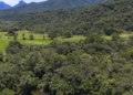 Brasil diminui em 43% área de vegetação nativa fragmentada