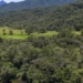 Brasil diminui em 43% área de vegetação nativa fragmentada