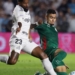 Brasileirão: Palmeiras fica no zero com o Santos e Flamengo agradece