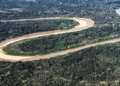 Países Baixos anunciam US$500 mi em fundo florestal criado pelo Brasil