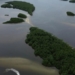 Países consideram insuficientes ações contra crise da biodiversidade
