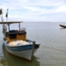 Pesca na foz do Rio Doce volta a ser liberada depois de dez anos