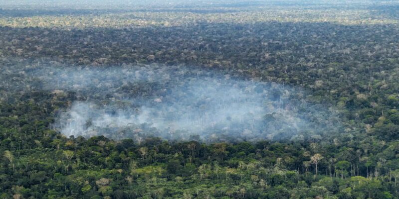 Estudo aponta atividade humana nas emissões de carbono na Amazônia